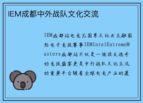 IEM成都中外战队文化交流