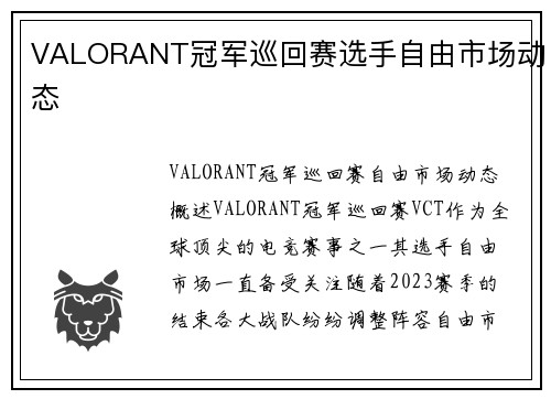 VALORANT冠军巡回赛选手自由市场动态